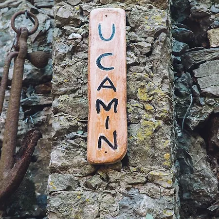 Apartment U Camin